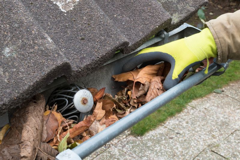 Cleaned Gutter Systems