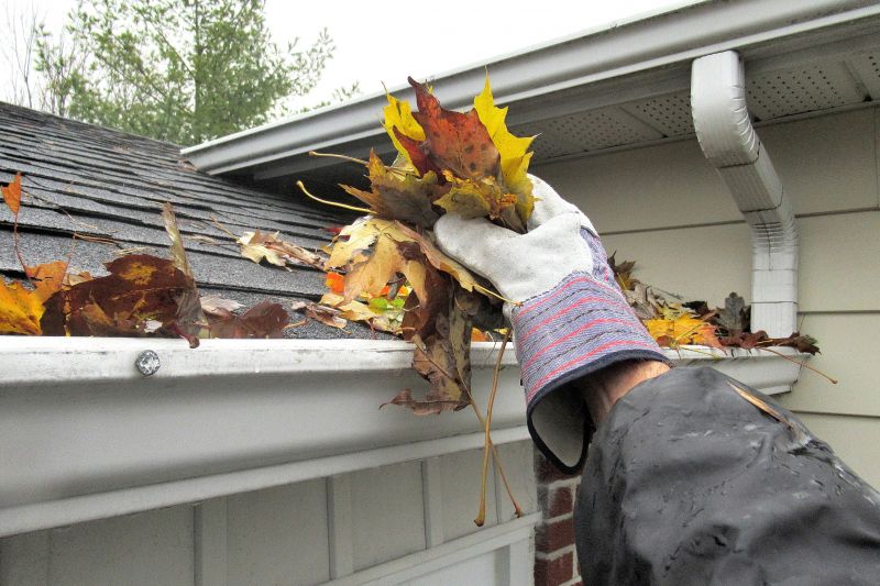 Fall Gutter Preparation